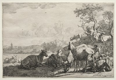 Paimen, 1644. tekijältä Paulus Potter