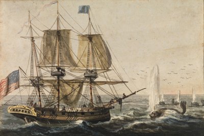 Laivan laakerin täydentäminen tursalla Newfoundlandin rannikolla, 1811-ca. 1813. tekijältä Pavel Petrovic Svin