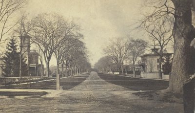 Hillhouse Avenue, 1800-luku. tekijältä Peck Brothers