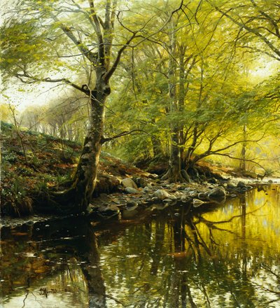 Metsäinen jokimaisema tekijältä Peder Monsted