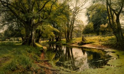 Metsän vesi on tyyni tekijältä Peder Monsted