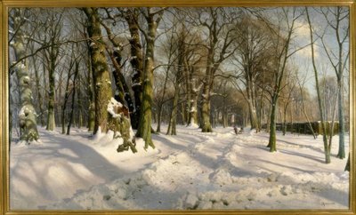 Verschneiter Winterwald im Sonnenlicht tekijältä Peder Monsted