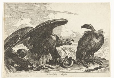 Korppikotka ja kotka käärmeellä 1. des Aigles 2. Griffon (otsikko esineessä) Birds from the Menagerie of Versailles (sarjan nimi) tekijältä Peeter Boel (attributed to)