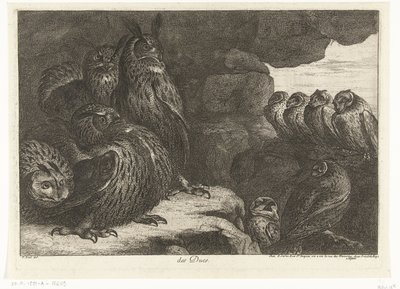 Pöllöt luolassa des Ducs (otsikko esineessä) Birds from the Menagerie of Versailles (sarjan nimi) tekijältä Peeter Boel (attributed to)