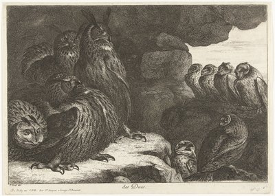 Pöllöt luolassa des Ducs (otsikko esineessä) Birds from the Menagerie of Versailles (sarjan nimi) tekijältä Peeter Boel (attributed to)