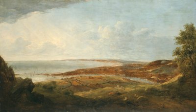 Swansea, 1830. tekijältä Penry Williams