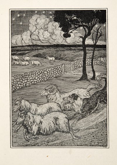A Canine Sheep Stealer, kirjasta A Hundred Anecdotes of Animals, pub. 1924 tekijältä Percy J. Billingshurst