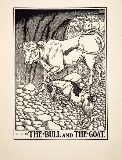 Härkä ja vuohi, julkaisusta A Hundred Fables of Aesop, pub.1903 (kaiverrus) tekijältä Percy J. Billingshurst