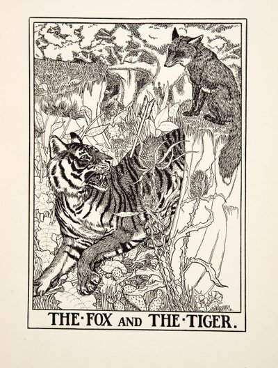 Kettu ja tiikeri, julkaisusta A Hundred Fables of Aesop, pub.1903 (kaiverrus) tekijältä Percy J. Billingshurst