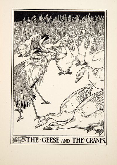 Hanhet ja kurvit, julkaisusta A Hundred Fables of Aesop, pub.1903 tekijältä Percy J. Billingshurst