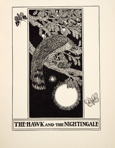 Haukka ja satakieli, julkaisusta A Hundred Fables of Aesop, pub.1903 tekijältä Percy J. Billingshurst