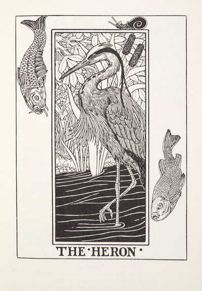 The Heron, Fontaine Fables, pub. 1905 (kaiverrus) tekijältä Percy J. Billingshurst