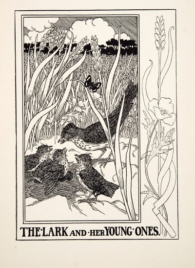 The Lark and her Young Ones, julkaisusta A Hundred Fables of Aesop, pub.1903 (kaiverrus) tekijältä Percy J. Billingshurst