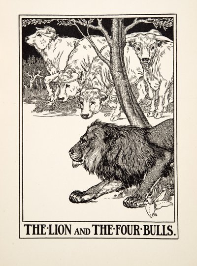 Leijona ja neljä härkää, teoksesta A Hundred Fables of Aesop, pub.1903 (kaiverrus) tekijältä Percy J. Billingshurst