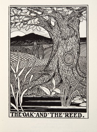 Tammi ja ruoko, Fontainen saduista, pub. 1905 tekijältä Percy J. Billingshurst