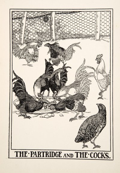The Partridge and the Cocks, julkaisusta A Hundred Fables of Aesop, pub.1903 tekijältä Percy J. Billingshurst