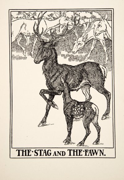 The Stag and the Fawn, julkaisusta A Hundred Fables of Aesop, pub.1903 tekijältä Percy J. Billingshurst