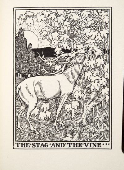 Hirvi ja viiniköynnös, Fontainen taruista, pub. 1905 tekijältä Percy J. Billingshurst