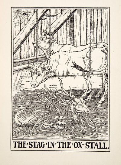 The Stag in the Ox Stall, julkaisusta A Hundred Fables of Aesop, pub.1903 (kaiverrus) tekijältä Percy J. Billingshurst