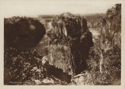 Gorge hotellista, Victoria Falls (m/w kuva) tekijältä Percy M. Clark