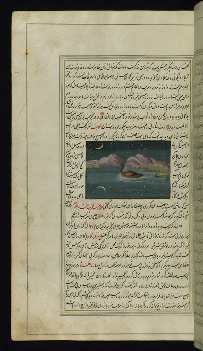 Hanhi ja kuun heijastus vedessä Lights of Canopuksesta tekijältä Persian School