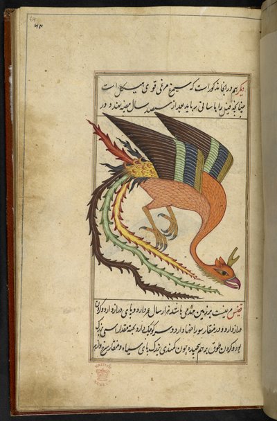 Lisää MS 15241 f.64r Simurgh, iranilainen ukkoslintu, "Majma" Al-ghara