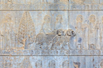 Basreliefit Apadanan palatsin ja portaiden seinillä, Persepolis, Iran (hiekkakivi) tekijältä Persian School