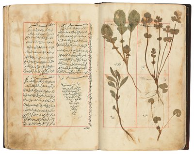 Hassan Bin Baqir Bin Jarrah: Ghalzar Al-Raihain, Qajar Iran tekijältä Persian School