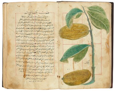 Hassan Bin Baqir Bin Jarrah: Ghalzar Al-Raihain, Qajar Iran tekijältä Persian School