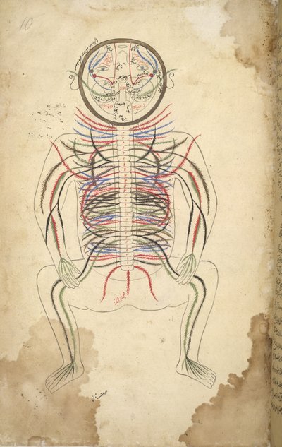 mm. Your Islam 1379, F.10 Human Sabeen, Fromm Atcherh B. Photography, B. Mansour Bin Muhammad tekijältä Persian School