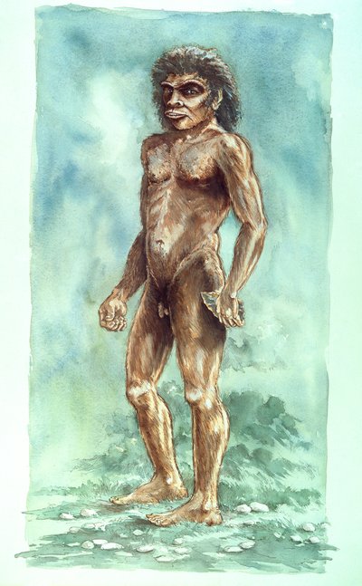Boxgrove Man, esihistoriallinen, 1990-2010 tekijältä Peter Dunn