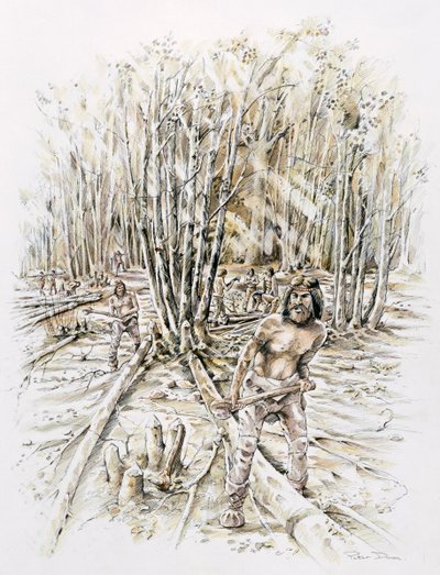 Piikiviippauksen käyttötarkoitukset, Esihistoriallinen, c1990-2010 tekijältä Peter Dunn