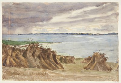 Ruis ravissa. Kissa punainen kettu. Taustalla Bjørnø tekijältä Peter Hansen