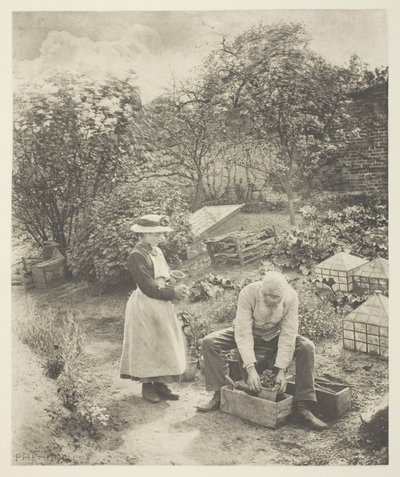 Puutarhan pää (Suffolk) tekijältä Peter Henry Emerson