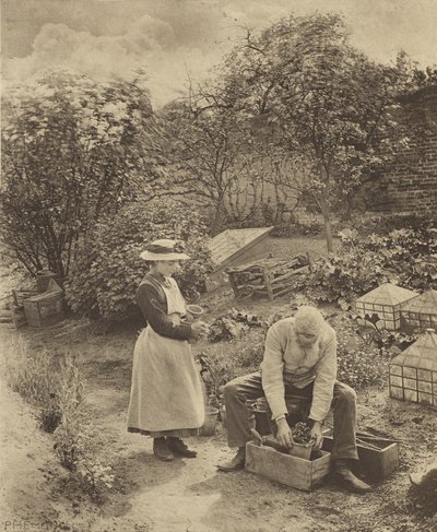  tekijältä Peter Henry Emerson