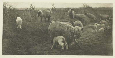 Pastoraalinen marssi (Suffolk) tekijältä Peter Henry Emerson