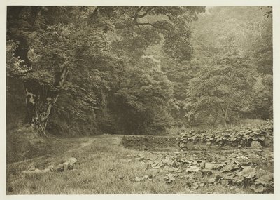 Hiljainen nurkka Beresford Dalen kaupungissa tekijältä Peter Henry Emerson