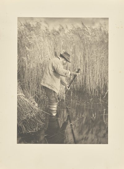  tekijältä Peter Henry Emerson