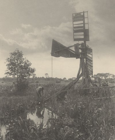 Pilaantunut vesimylly tekijältä Peter Henry Emerson