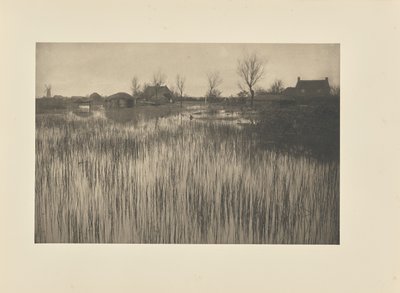 A Rushy Shore tekijältä Peter Henry Emerson