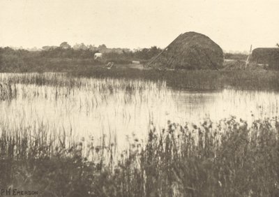 Syksyn tulvat tekijältä Peter Henry Emerson