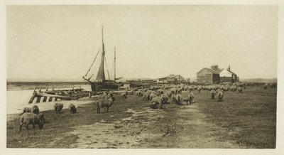 Blackshore, Blythe-joki (Suffolk) tekijältä Peter Henry Emerson