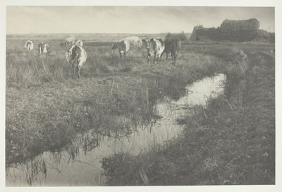 Karja suolla tekijältä Peter Henry Emerson