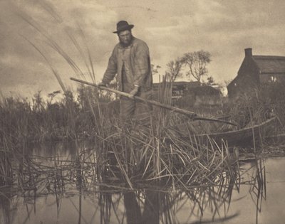 Gladdonin leikkaaminen tekijältä Peter Henry Emerson
