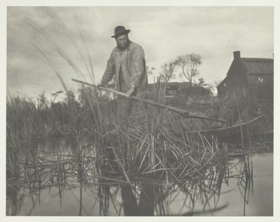 Gladdonin leikkaaminen tekijältä Peter Henry Emerson