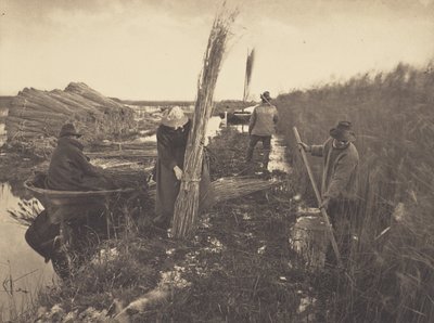  tekijältä Peter Henry Emerson
