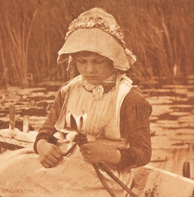 Blumen des Sees tekijältä Peter Henry Emerson