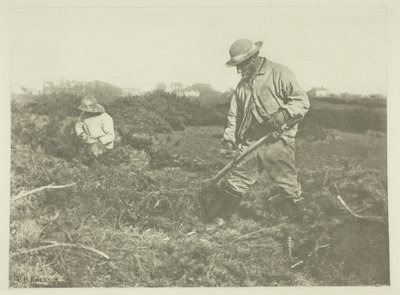 Furze-leikkaus Suffolk Commonissa tekijältä Peter Henry Emerson