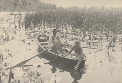 Vesililjojen kerääminen tekijältä Peter Henry Emerson