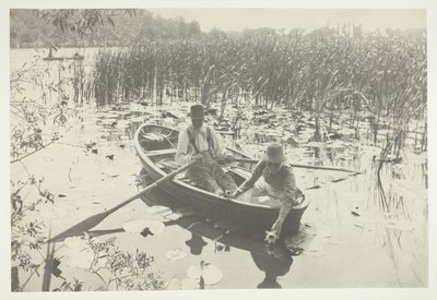 Vesililjojen kerääminen tekijältä Peter Henry Emerson